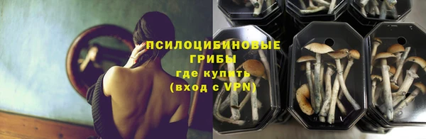 амф Алексеевка