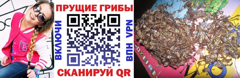 Псилоцибиновые грибы MAGIC MUSHROOMS  Кораблино 